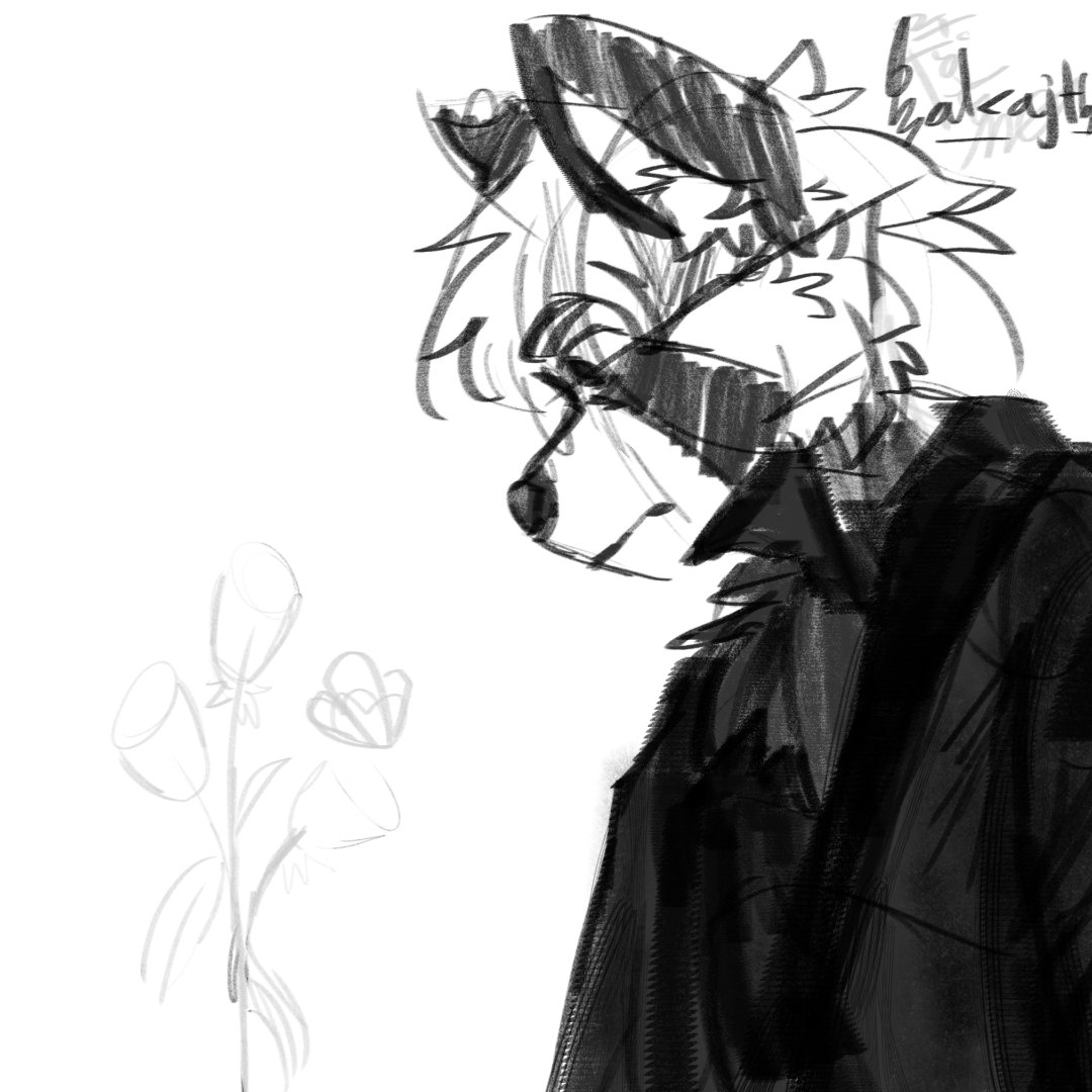 Zakajth_'s tweet photo. i was lazy https://t.co/G0LPptzijX