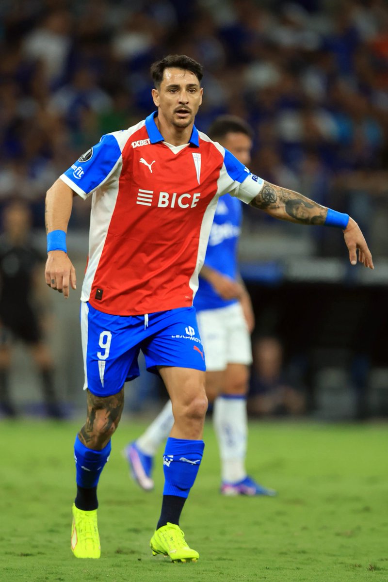 SebaCruzadoUC's tweet photo. El único toro es él #LosCruzados https://t.co/N1qRQSU8L8
