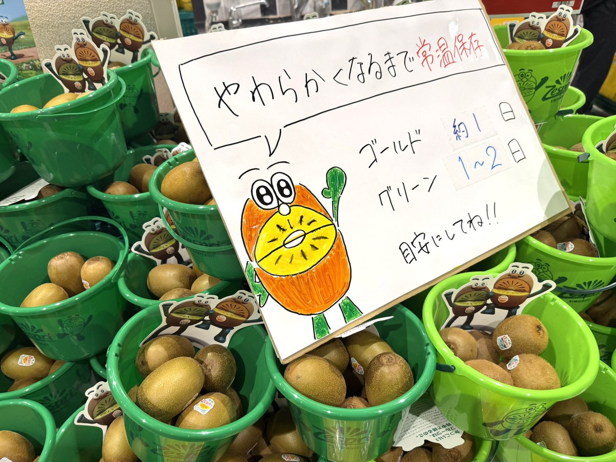 今年もやってきたぞ！ 🌻 #ゼスプリキウイ試食会2026 🥝
