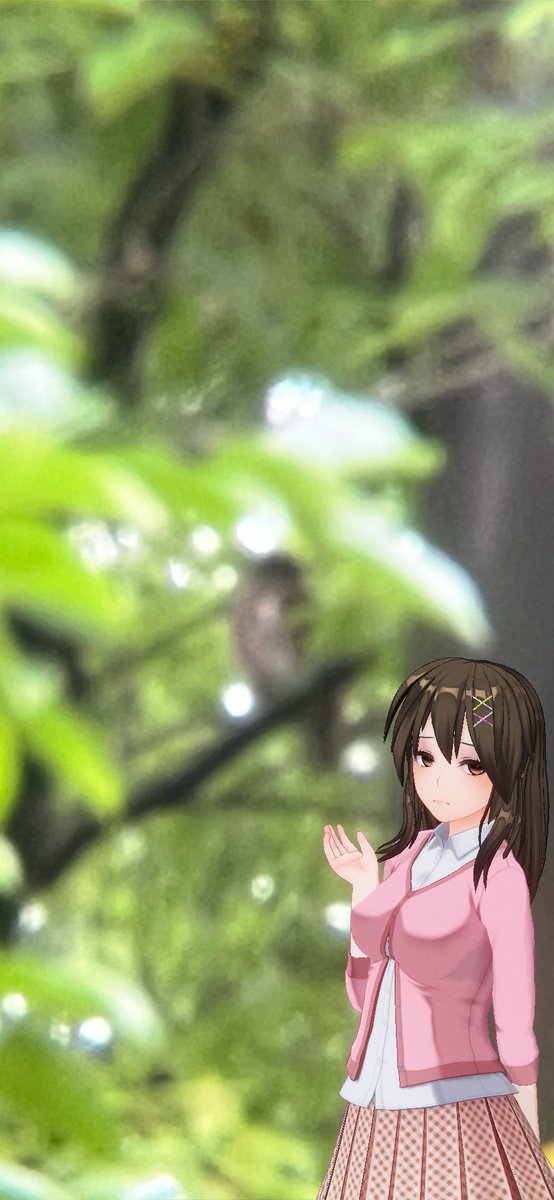 microidmari's tweet photo. 大阪は能勢町の野間の大ケヤキのアオバズクを見て来ました。
その御尊顔を写すべく、老若男女が右往左往。
アオバズク様はフクロウ類の例に漏れず、エヘン、よく聴け愚民共よっ！
って感じのエラソーな態度で人類を見下ろしていました。
スマホじゃブレブレですね。 https://t.co/oI9mBTr4t8