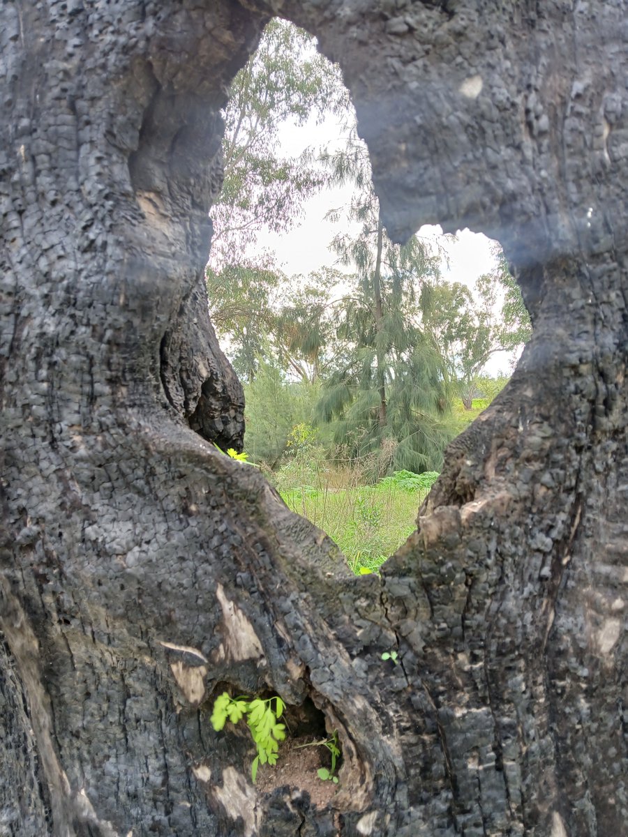 michell53043710's tweet photo. "Hope springs eternal"๐ค
#crossyourpath https://t.co/YgfUVSp6ZP