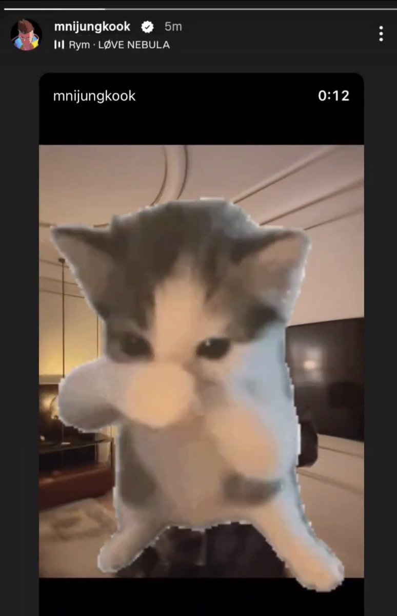loveninetyseven's tweet photo. His cat stickers are the same as the cats on her ig story 🙂‍↕️🙂‍↕️ https://t.co/nt2fWDmRMD