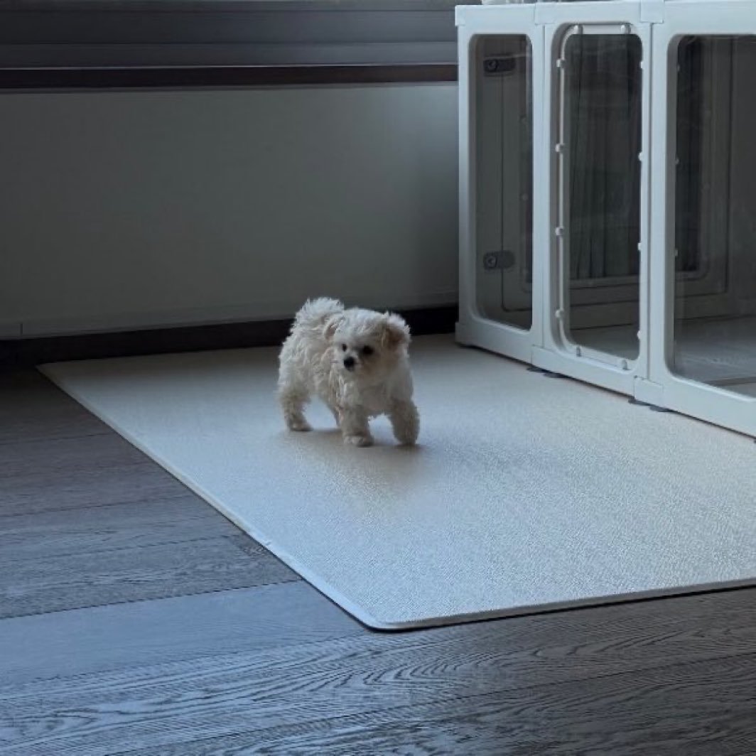 bluuyukio's tweet photo. This is how trainee YuJimin sees the new trainee Minjeong at their first meet in the practice room. https://t.co/Duj5wD6L24