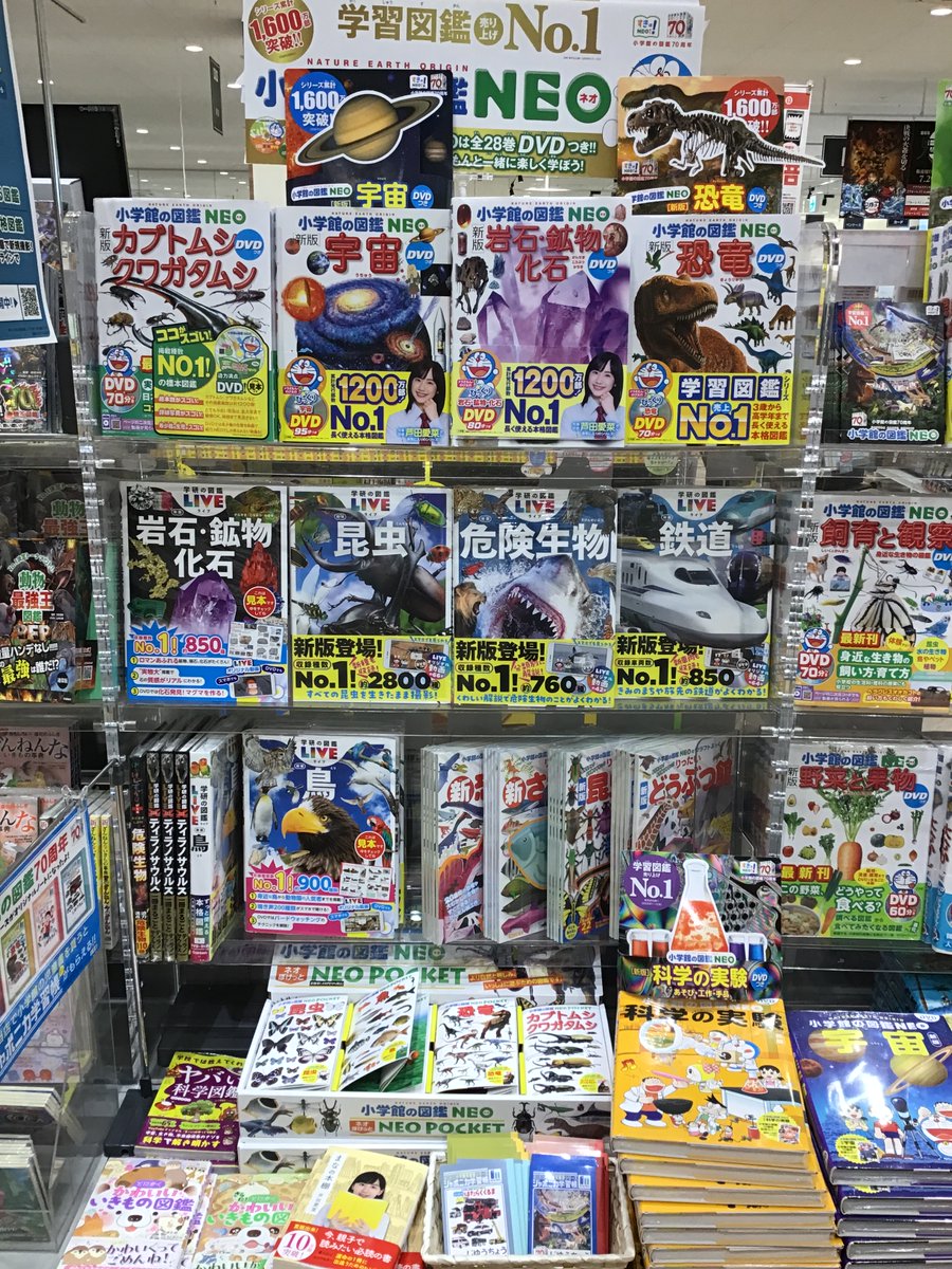 sanyodokaguyama's tweet photo. 今年も夏の図鑑フェア開催しています！
王道の小学館図鑑NEOシリーズから最強王図鑑シリーズなど各種取り揃えております！！

↓三洋堂サイトにて記事を公開中です
https://t.co/bGqilrrN6X

#2026図鑑NEO https://t.co/HvxeHEkupM