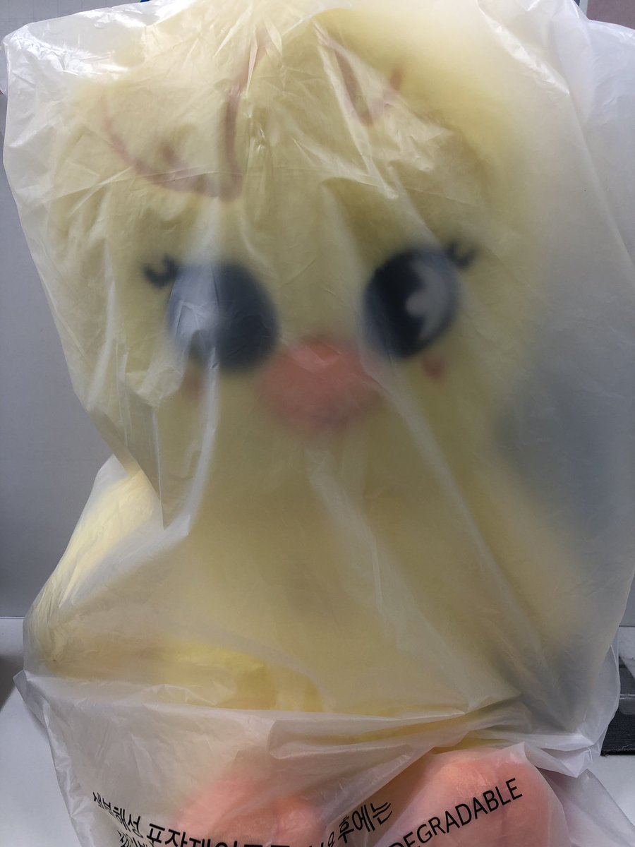 StrayKids StrayKids SKZOO PLUSH テディベアが入荷🧸🐥 現在商品化中