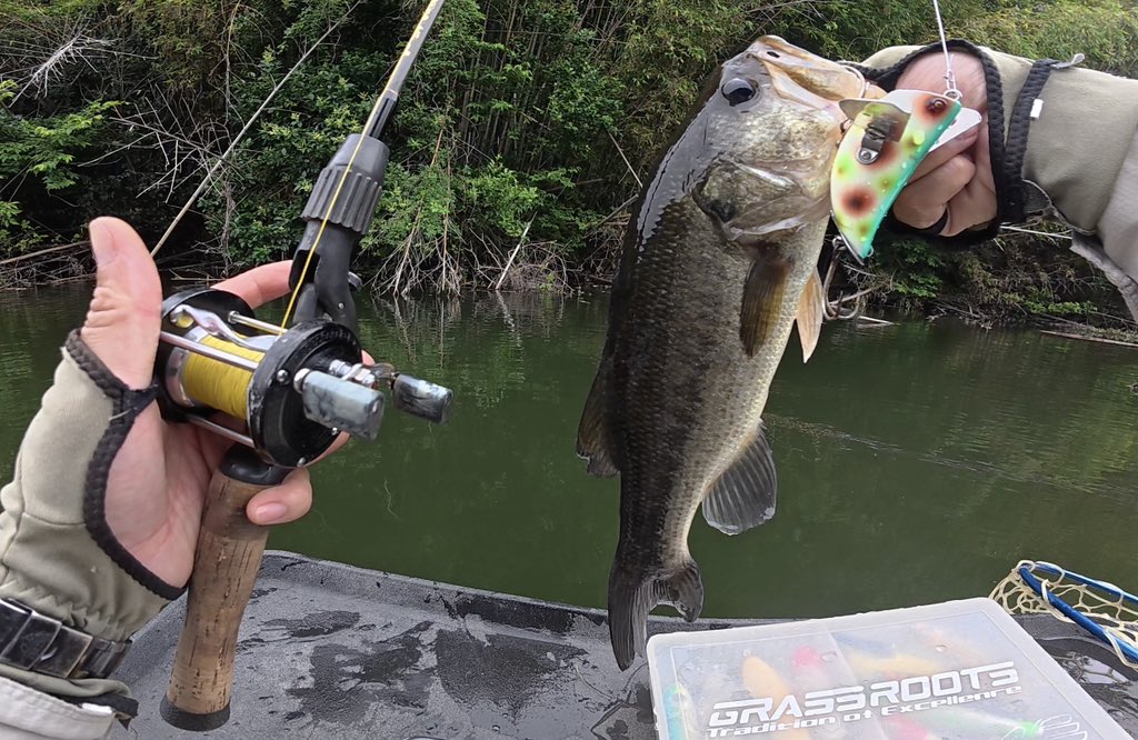 fishandbros's tweet photo. お気に入りのダイレクト、Tru Castでの1発💥ギヤゴリゴリでスプールも重くてムズイけど、キャスト時の唸る振動とハンドル逆転の風が激アツ🔥

スパイラルなレベルワインド機構とサイケなレリーフデザインがアールデコすぎる、1930年代NY産のプロダクト🇺🇸 https://t.co/ADqqmzxoVx