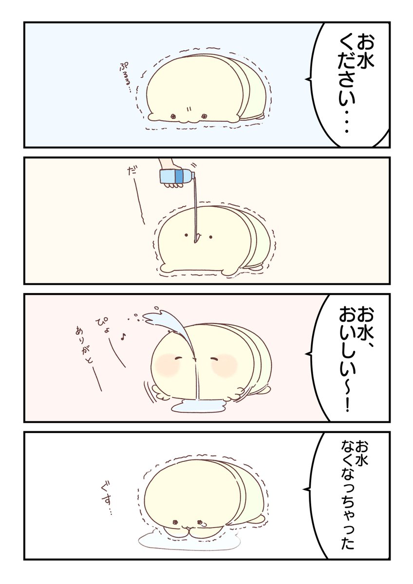しわしわカメさん 