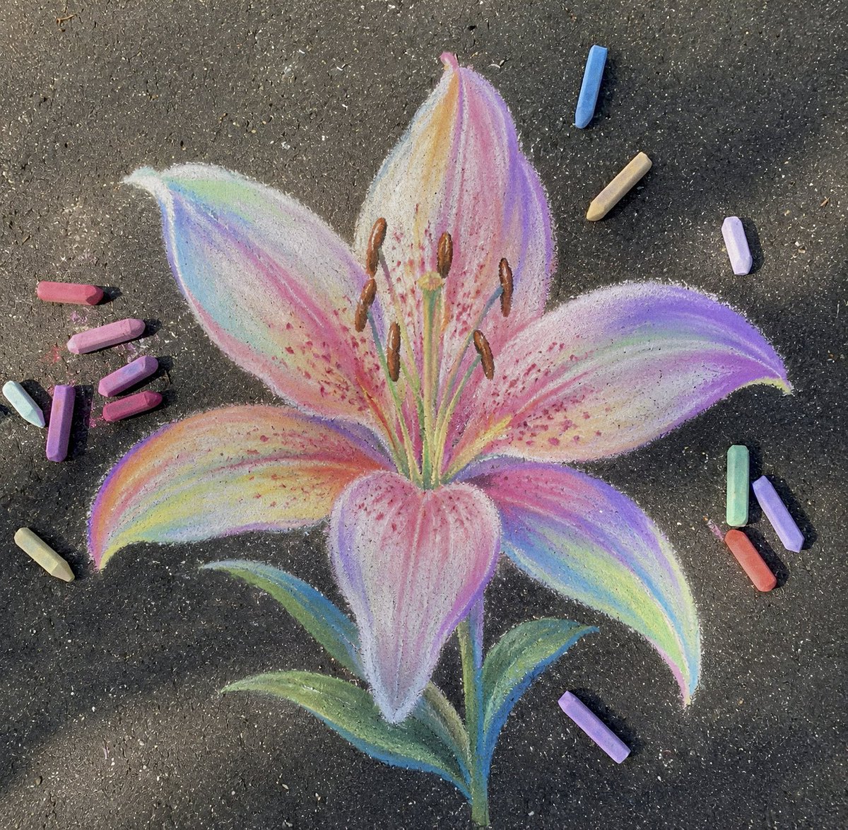 petalesblancs's tweet photo. lily chalk art 🌸✨ https://t.co/ScRpSd6giW