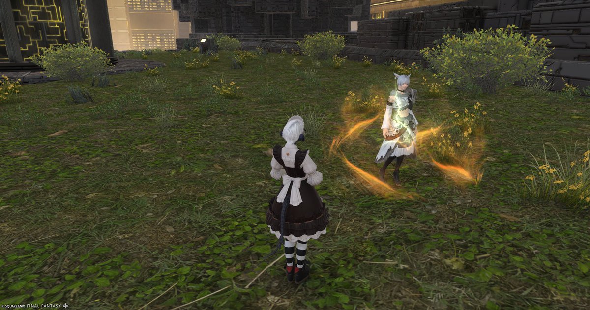 FF14haz's tweet photo. フレンドさんと久々に宝の地図に🗺
最下層へのリベンジはまた今度👊
ありがとうございましたー！ https://t.co/K7cb3vaHHd