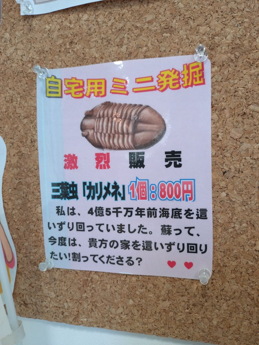 seigurofuku