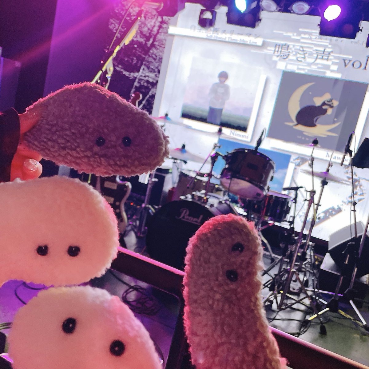 mo_co7's tweet photo. #鳴き声vol1 きたよ👍🏻 https://t.co/9Na6sSuP3A