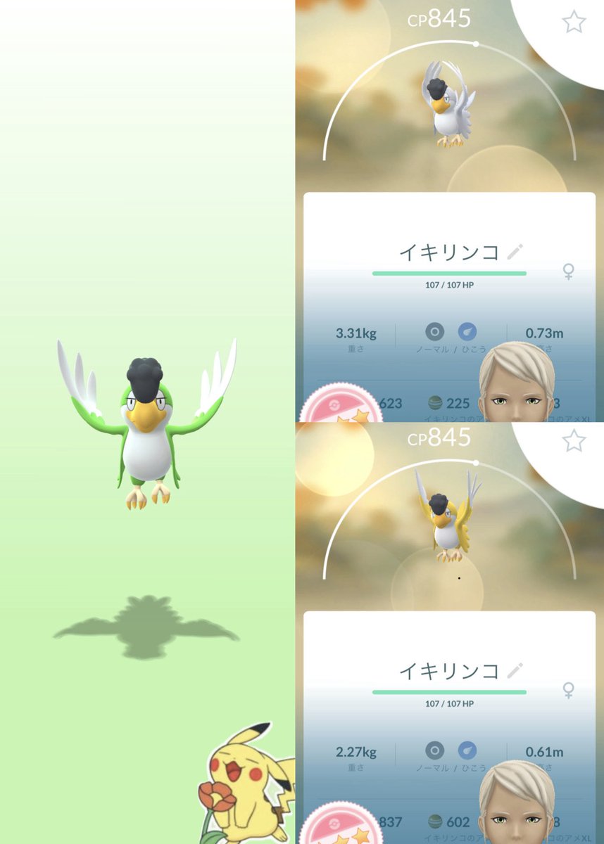 doern8becher's tweet photo. イキリンコ100✨️3羽揃えられた✊

青色は🙂🙄

#ポケモンGO https://t.co/enLQAJ3hR0