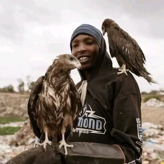 kijana_misa's tweet photo. Before We Judge Nairobi Birdman, Remember Where He Came From

Before the world knew Nairobi Birdman, he was living on the streets. I once saw him near Kencom, sitting quietly with his birds while thousands of people walked past without a glance.

Few people believed back then that social media could change a life. Yet that same young man has built a name for himself. He now has a roof over his head, pays his bills, and has turned what many called a strange hobby into a real source of income.

Kenya has wildlife conservation laws, and they must be respected. If authorities find that some of his birds cannot legally be kept in private hands, the law should take its course. But enforcement alone is not enough.

We must ask ourselves: after taking away his livelihood, what comes next?

Why do we always wait for someone to succeed before we look for reasons to bring them down? Why don't we focus on creating opportunities instead?

Nairobi Birdman has shown real knowledge, patience, and love for birds. Why not put that to good use? He could be offered training, helped to get the right permits, or considered for roles in wildlife education or conservation outreach. Agencies like the Kenya Wildlife Service or the Kenya Forest Service could explore whether he qualifies for any of their programmes.

Governments across the world invest in people with unique talents because guided talent becomes an asset to society.

This is a young man we have all watched rise from nothing. His story speaks of resilience, creativity, and survival. If we strip away his income without offering any path forward, we risk pushing him right back to the streets.

The role of government is not only to enforce the law. It is also to open doors.

Let us protect our wildlife. But let us also protect the dreams of young Kenyans who are building honest lives from very little.