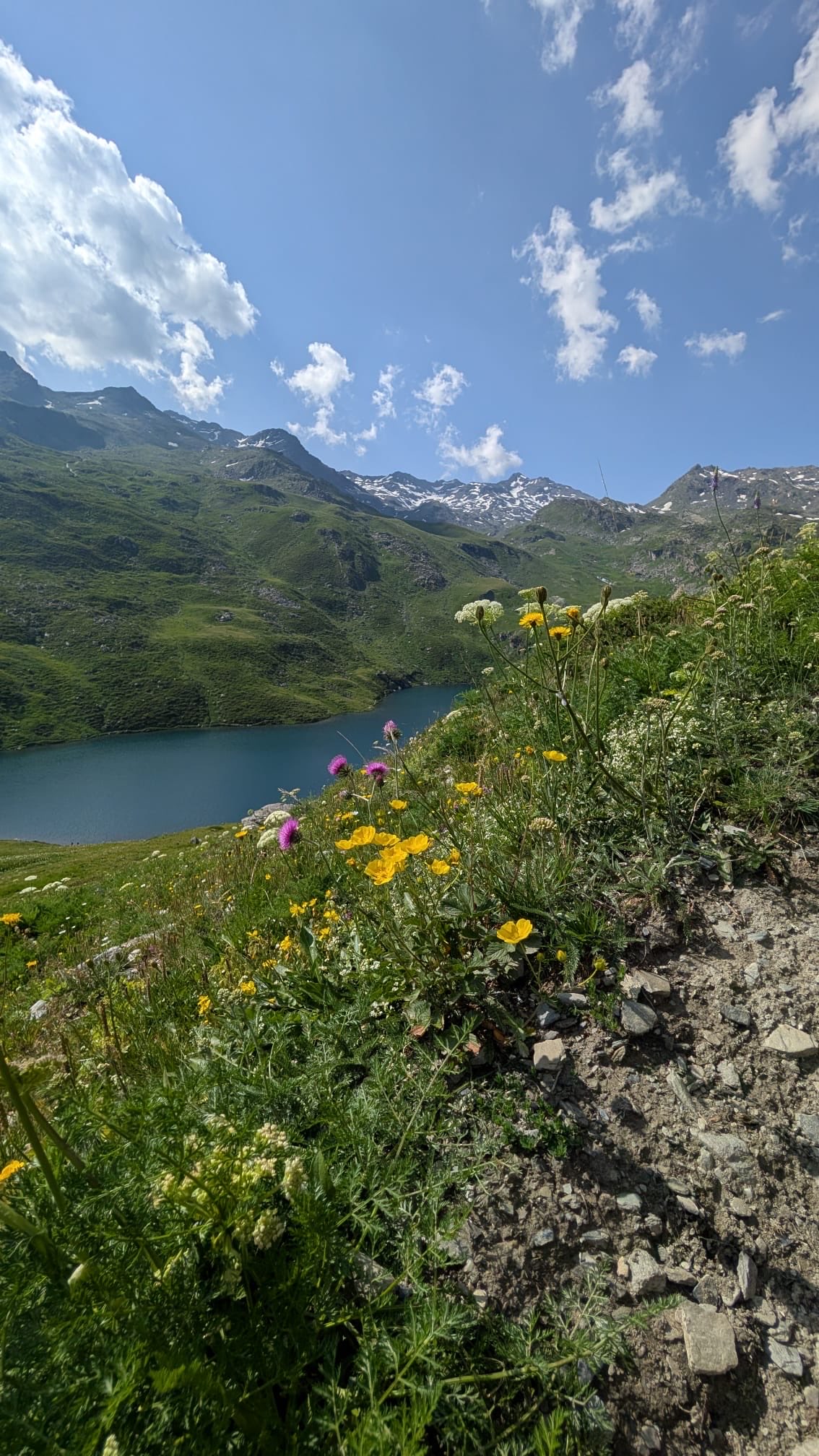 2 pic. No free feet pour les grenouilles 🏔️ https://t.co/sXFSOrX2yP