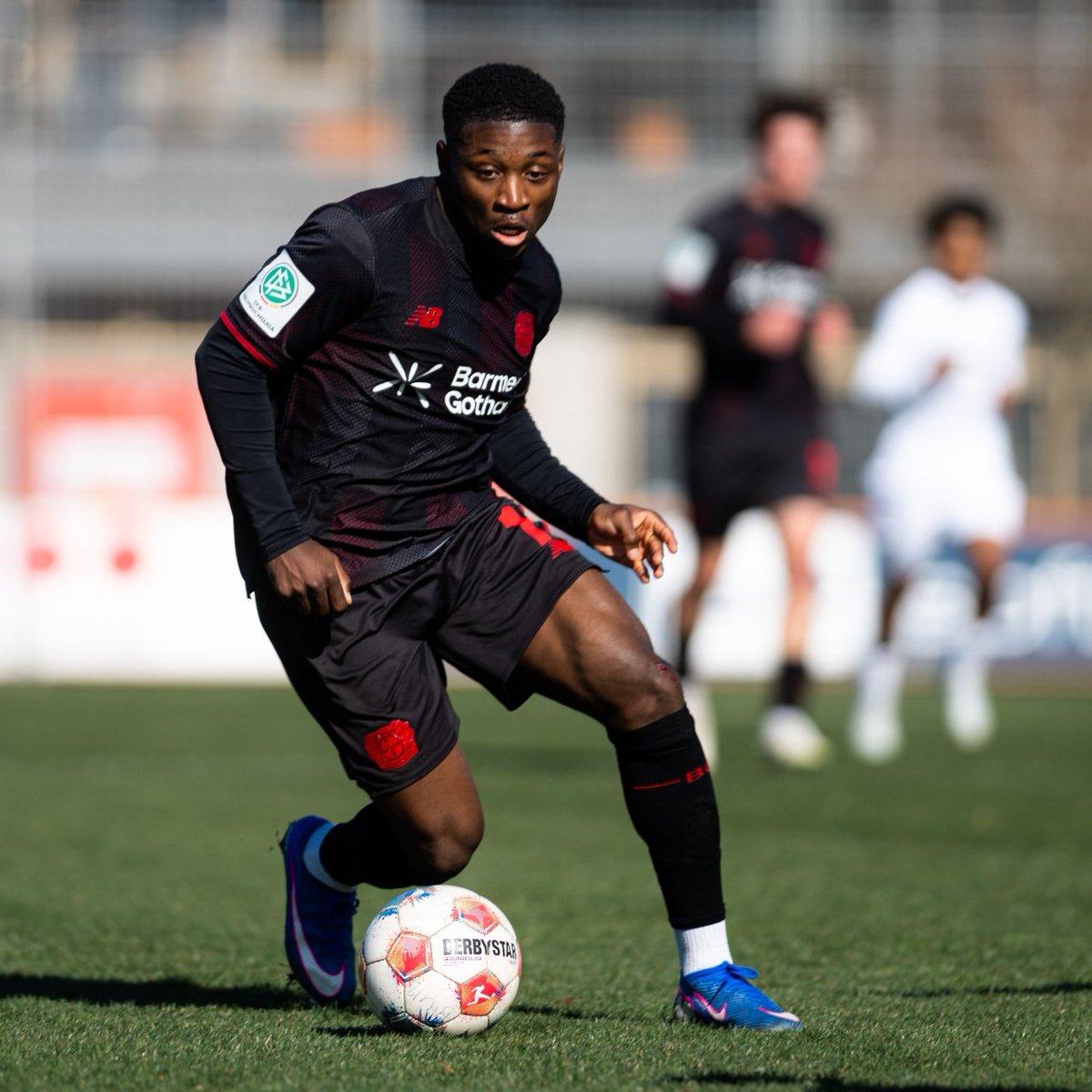 bayer04_en tweet picture