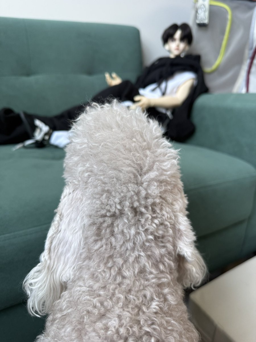 _EMMA____C's tweet photo. 하이고…. https://t.co/mVnwaU7oFV