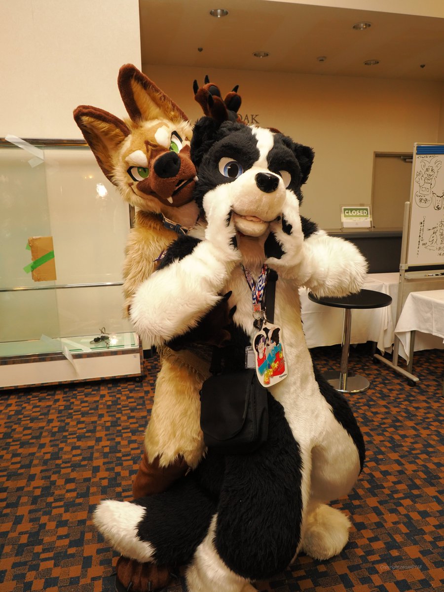 zeruel0118's tweet photo. いろいろな仔のツーショット
#JMoF
#JMoF2026 https://t.co/IEcg3YFUHM