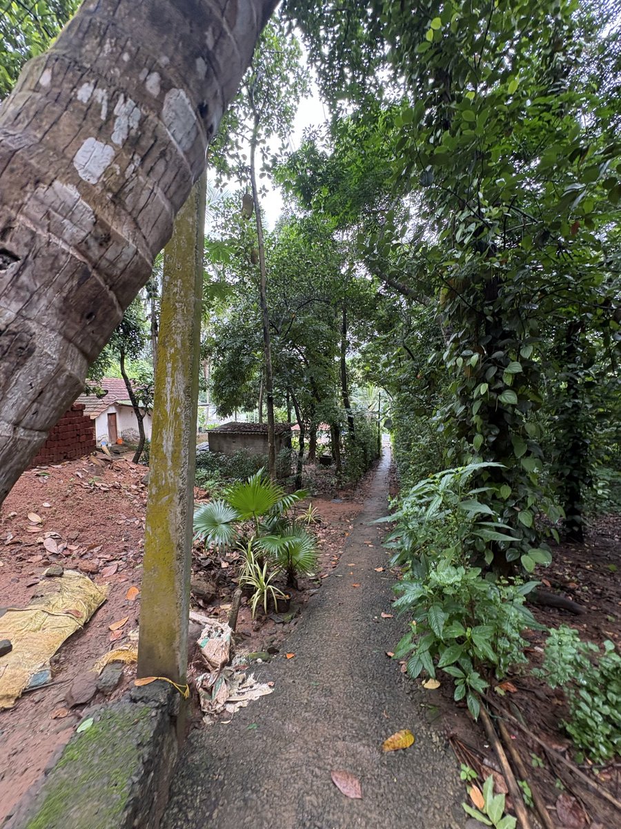 IndrajithVlogy's tweet photo. ഇന്ന് എന്റെ വീട്ടിലേക്ക് ചെറിയ വഴി മാത്രമെ ഉള്ളു. വീടിന് നല്ല വഴി ഇല്ല. എന്ന് എല്ലാവരും പറയുന്നുണ്ട്. അത് കേൾക്കുമ്പോൾ ഒരു mood off ആക്കും. പക്ഷെ....ഒരുനാൾ താഴത്തെ വീടും വഴിയും ഞാൻ വാങ്ങും....ഉറപ്പ് One Day 😌💯 https://t.co/wB45cYN4rz
