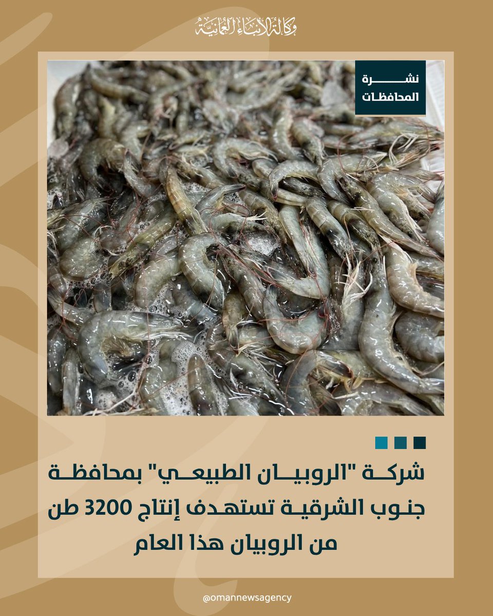 OmanNewsAgency's tweet photo. شركة ��لروبيان الطبيعي للاستزراع السمكي بمنطقة قرون في ولاية جعلان بني بوحسن بمحافظة #جنوب_الشرقية تستهدف إنتاج 3200 طن من الروبيان الأبيض خلال العام الجاري، ضمن جهودها لتعزيز قطاع الاستزراع السمكي ورفد منظومة الأمن الغذائي في #سلطنة_عُمان.

https://t.co/L2iReIfZCi

#نشرة_المحافظات
#العُمانية