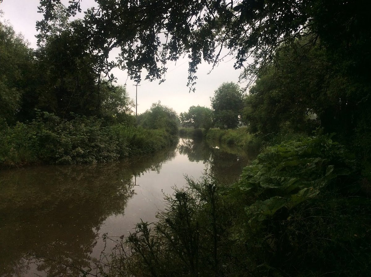 retired_tom's tweet photo. My photos from #June 2019
@CanalRiverTrust #OxfordCanal #Oxford #Lock #Bridge #LiftBridge #Narrowboat #Reflections #HorseTrough
#Canals & #Waterways can provide #Peace & #calm for your own #Wellbeing #Lifesbetterbywater #KeepCanalsAlive https://t.co/Q3clzHnZuM
