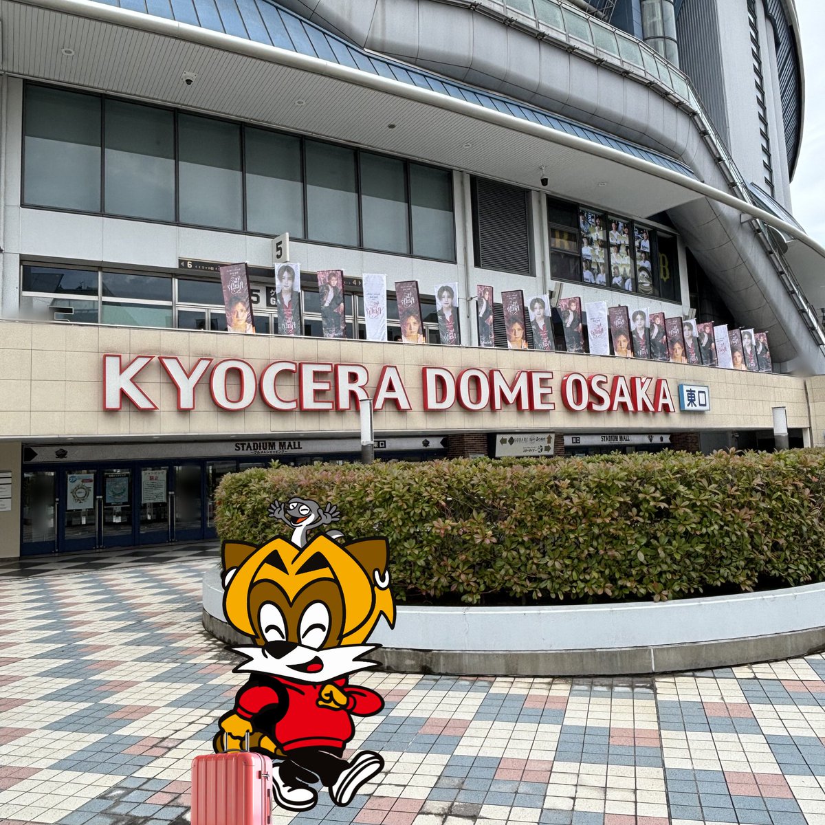 Ryosuke_Storm's tweet photo. 🚩
DOME TOUR 2026 Are You Red.Y?
#りょうすけと京セラ

〜りょすかるの帰り道〜

大阪公演が終わり、
りょすかるも会場を出発したようです！🐾

皆さんも帰り道は余韻に浸りながら
お気をつけてお帰りください！

#AreYouRedY 
#RyosukeYamada https://t.co/SlB8gm1Psm