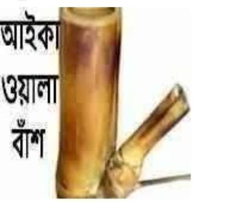 Rohan5Mosharaf's tweet photo. @rowshan1504 ফালতু মহিলা https://t.co/ECpNQnPaeG