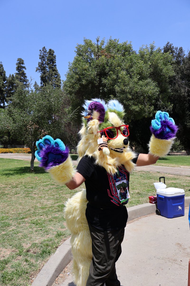 DeltaArcanine's tweet photo. Went to a fur meet at Griffith Park again and it was lots of fun meeting new and old friends but holy hell the sun was really warm and it warped my fursuit glasses but my friend, @RazziWolfDragon, made new glasses for me x3 https://t.co/SWuUUlczIA