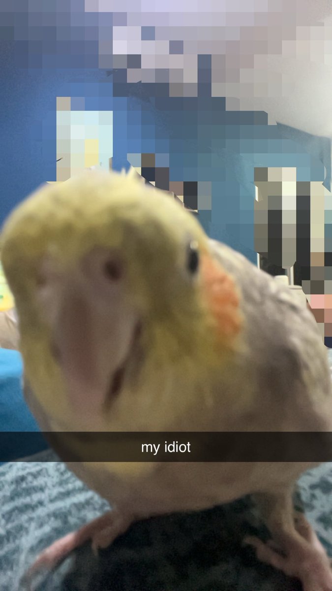 kei tweet media