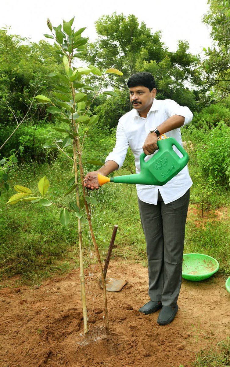 SantoshKumarBRS's tweet photo. Cricket has the power to unite millions. Imagine if every ball could also heal our planet.

Today, through the Green India Challenge, I have written to the Hyderabad Cricket Association proposing #GreenCricket a first-of-its-kind initiative to make TG20 the world’s first fully verified, climate-positive cricket league.

Every dot ball. Every four. Every six. = One Tree.

Not just planted—but geo-tagged, nurtured for 1,000 days, and transparently verified.

Inspired by the BCCI, Tata Green Dot Ball initiative and our “Playing for the Planet” vision presented at the House of Lords during London Climate Action Week, this proposal aims to transform every memorable moment on the cricket field into a lasting contribution to the Earth.

Telangana has produced cricketing legends. Now, let Telangana show the world how sport can become a force for climate leadership.

Together, let’s ensure that, every run scores for nature, every boundary grows a forest, and every match leaves behind a greener future.

#TG20 #GreenCricket 🏏
#PlayingForThePlanet 🌍 
#HaraHaiTohBharaHai🌳 
#GreenIndiaChallenge🌱.