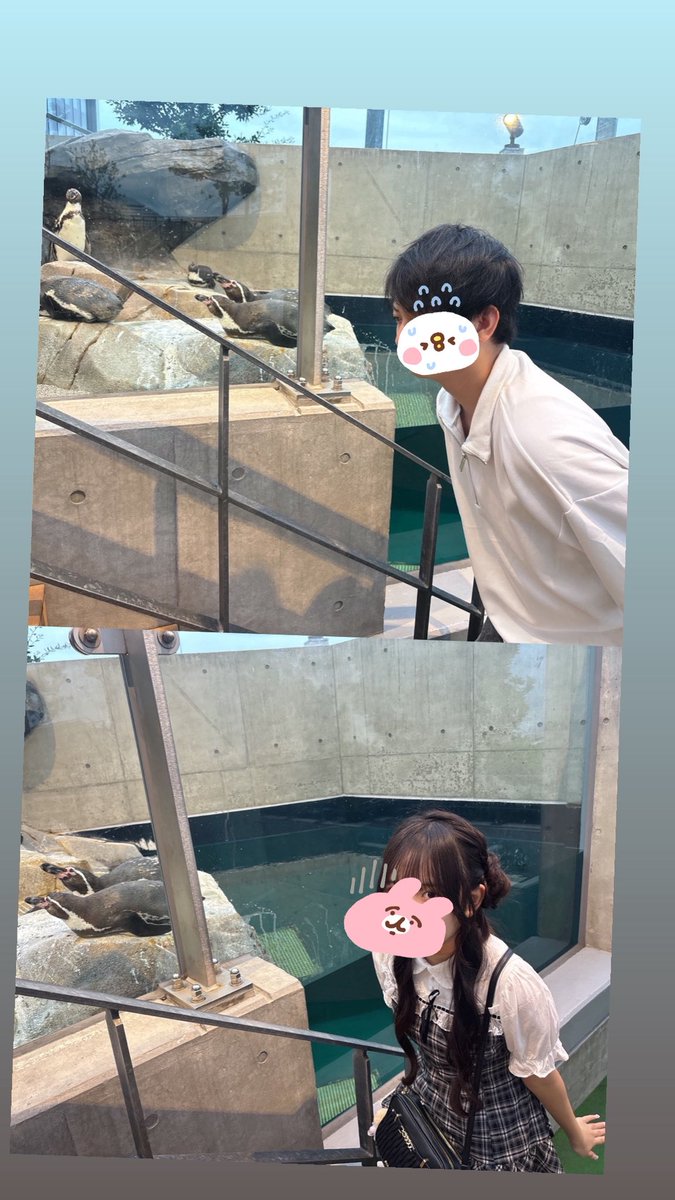 newsenasena's tweet photo. ペンギンになってきました https://t.co/DSBjCbsJK4