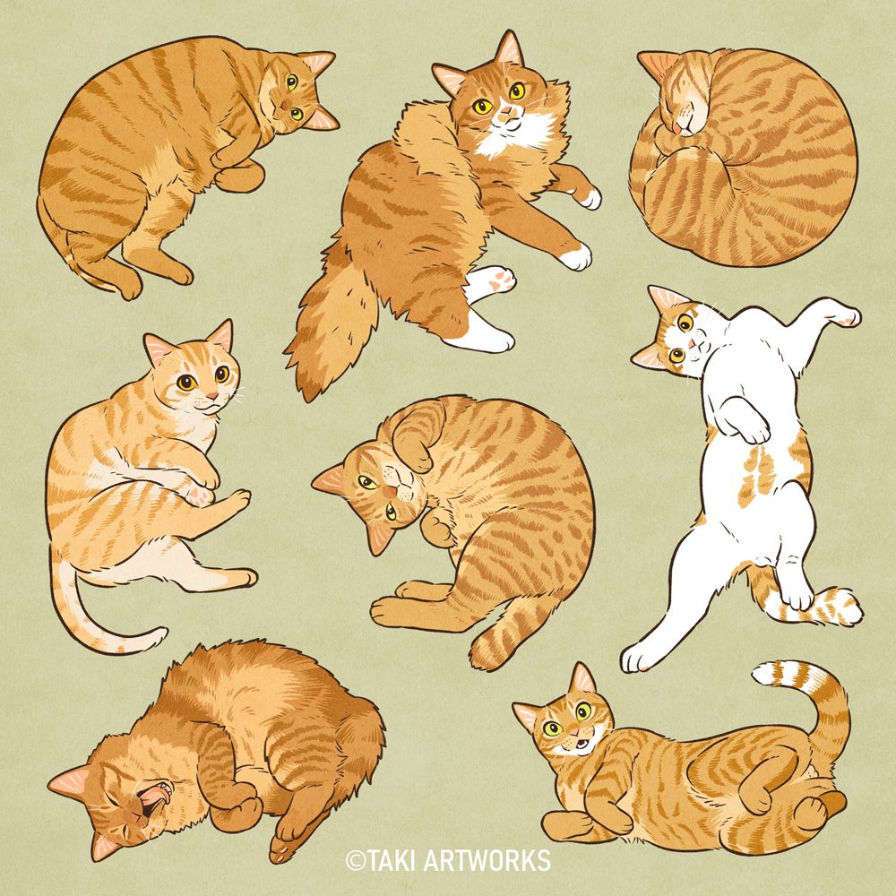 takiartworks's tweet photo. 猫ざんまいいかがですか？ https://t.co/r2VbzhYYEb