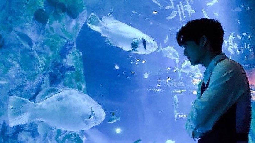 jonginsfairy's tweet photo. #카이 🫧𓇼𓏲*ੈ✩‧₊˚🪼 https://t.co/dIT8jrpUGl