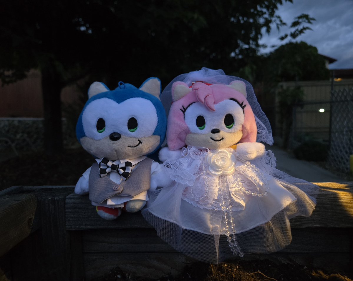 echochv's tweet photo. Sadly no pretty sunset today but I made do with what I had in my backyard! Hopefully it still looks okay 🥹
#sonamy https://t.co/Ocp63z4rQz