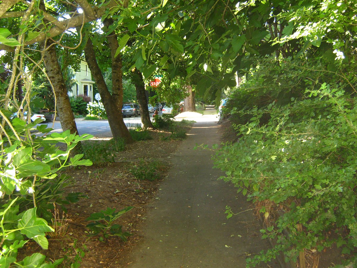 posttraumaticaa's tweet photo. portland so green https://t.co/PcQvQVIFSM