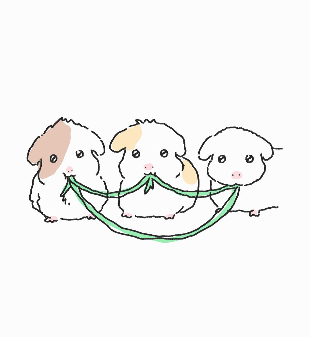 퍼깍소 서코 BH_59 tweet media