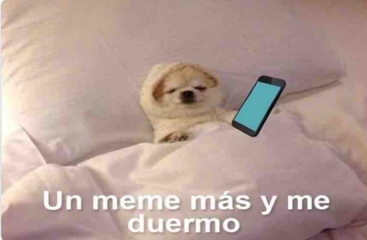 Guarromantico_'s tweet photo. “Hoy si dormiré temprano para descansar” 

Yo en este momento: https://t.co/d3t5W3ZhSq