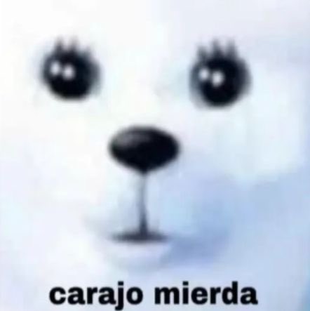 martinteamo tweet media