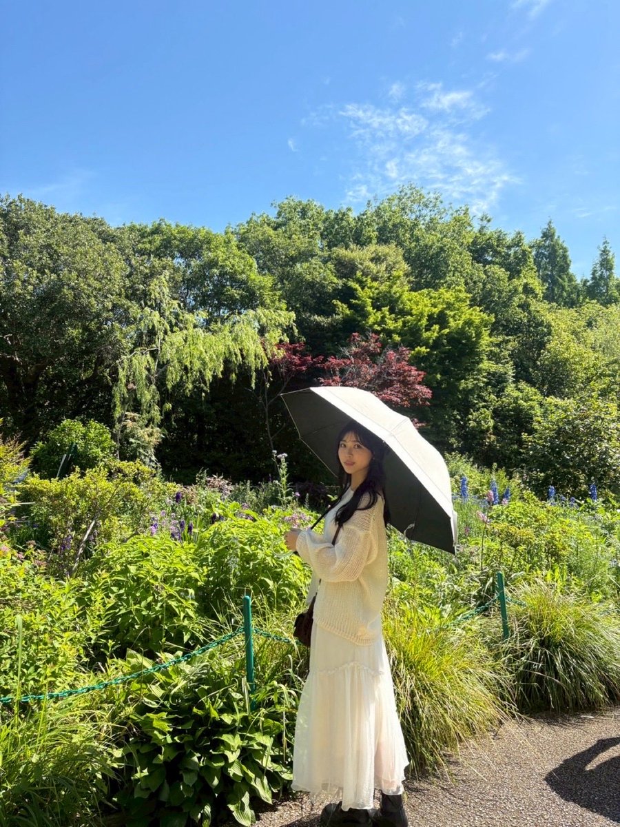 Post by 黒島咲花【NMB488期生】 on X: 日傘をさす女
