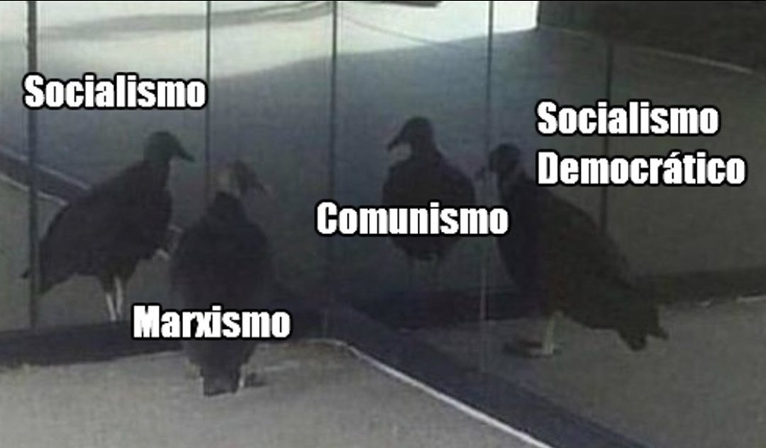 rmceccheti's tweet photo. @tininhasouzarj A pena do rabo do urubu é a mesma para qualquer nome que se dê e em qualquer lugar do mundo. https://t.co/KtFV2GN5dZ