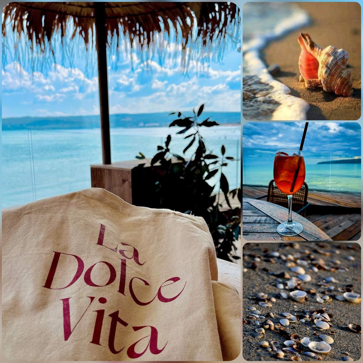 var223's tweet photo. Je n'arracherai aucune page du livre de ma vie.
Les pages que j'ai tournées sont les leçons que j'ai apprises.
Josiane Coeijmans

#LaDolceVita 💕
#Dimanche #Sunday
#Sonntag https://t.co/kcHL4gmE4i