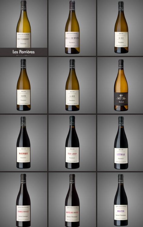Bobosse92's tweet photo. Dégustation chez Arnaud Lambert : https://t.co/uko0M0OokL

#anjou #dégustation #loire #saumur #saumurchampigny #vigneron #Vin https://t.co/zKoAVRQolo