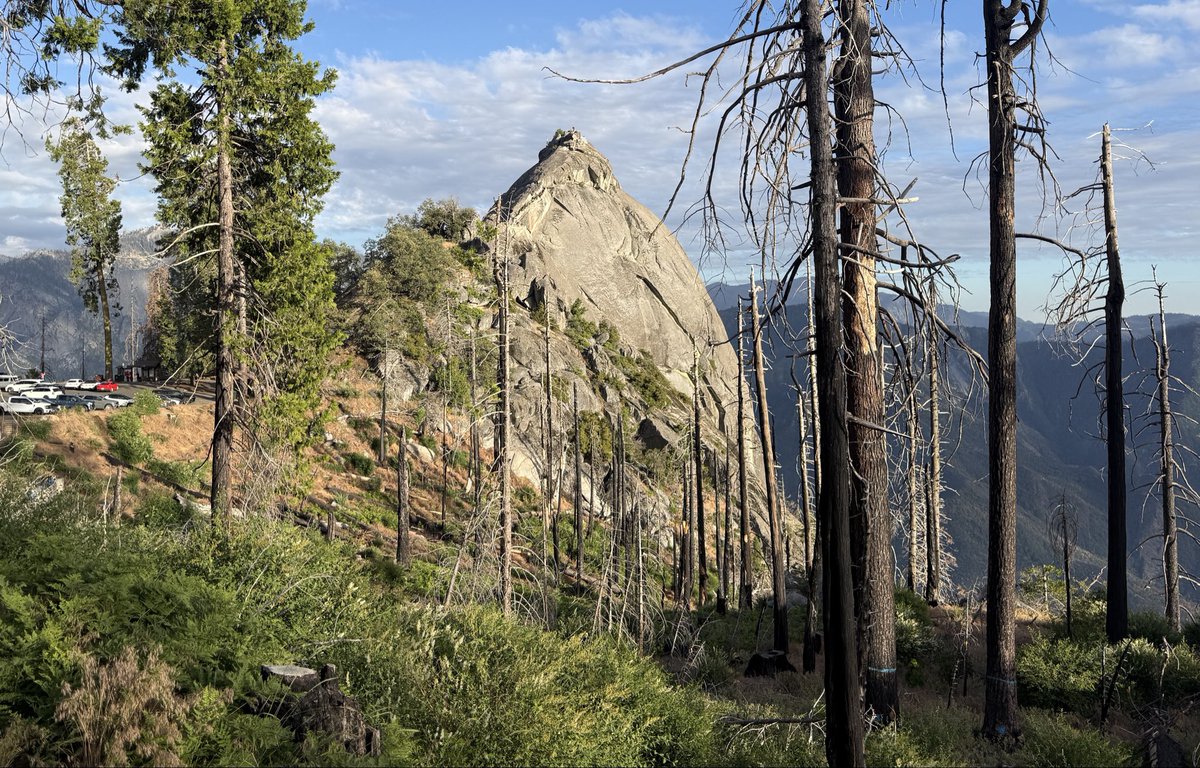 TimSweeneyEpic's tweet photo. Epic Spring Break, day 1. Sequoia National Park, California. https://t.co/0LQ9B1VRkY