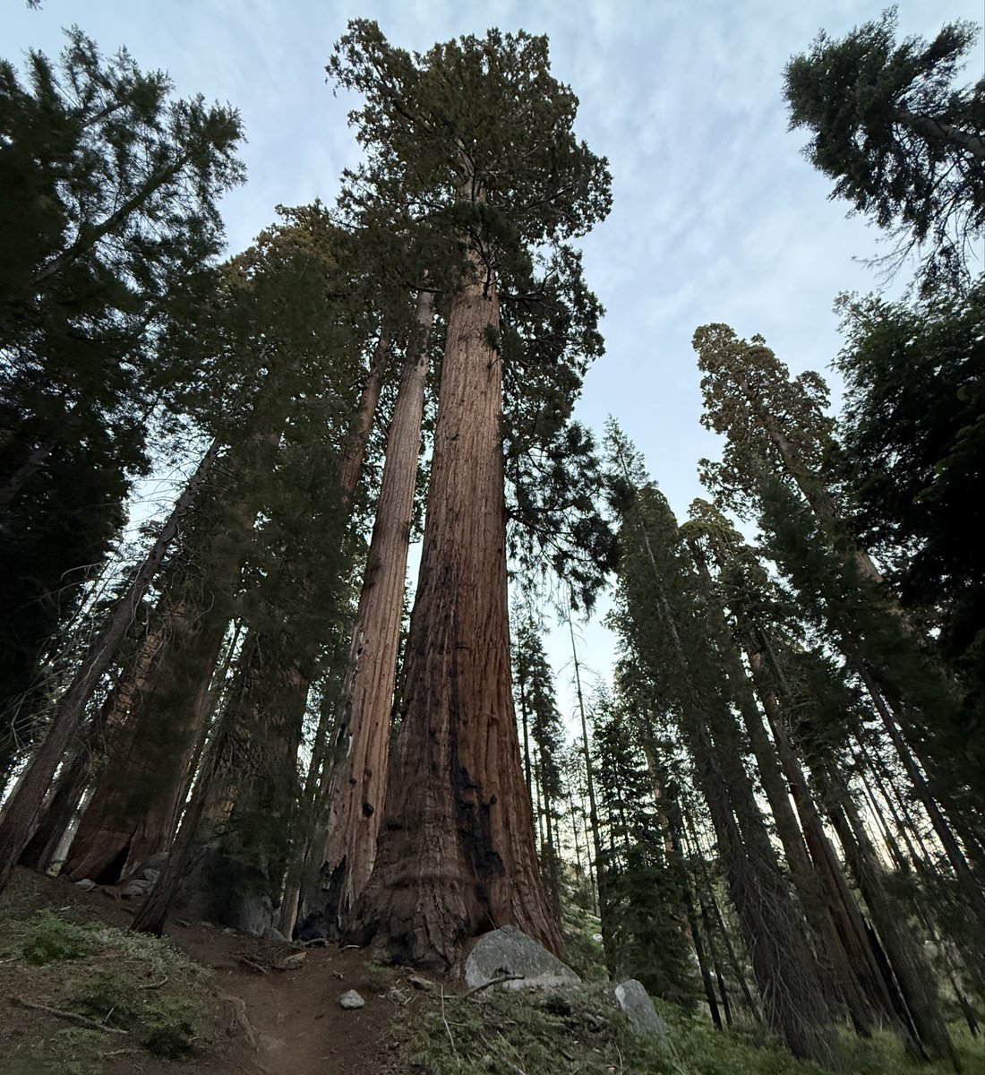 TimSweeneyEpic's tweet photo. Epic Spring Break, day 1. Sequoia National Park, California. https://t.co/0LQ9B1VRkY