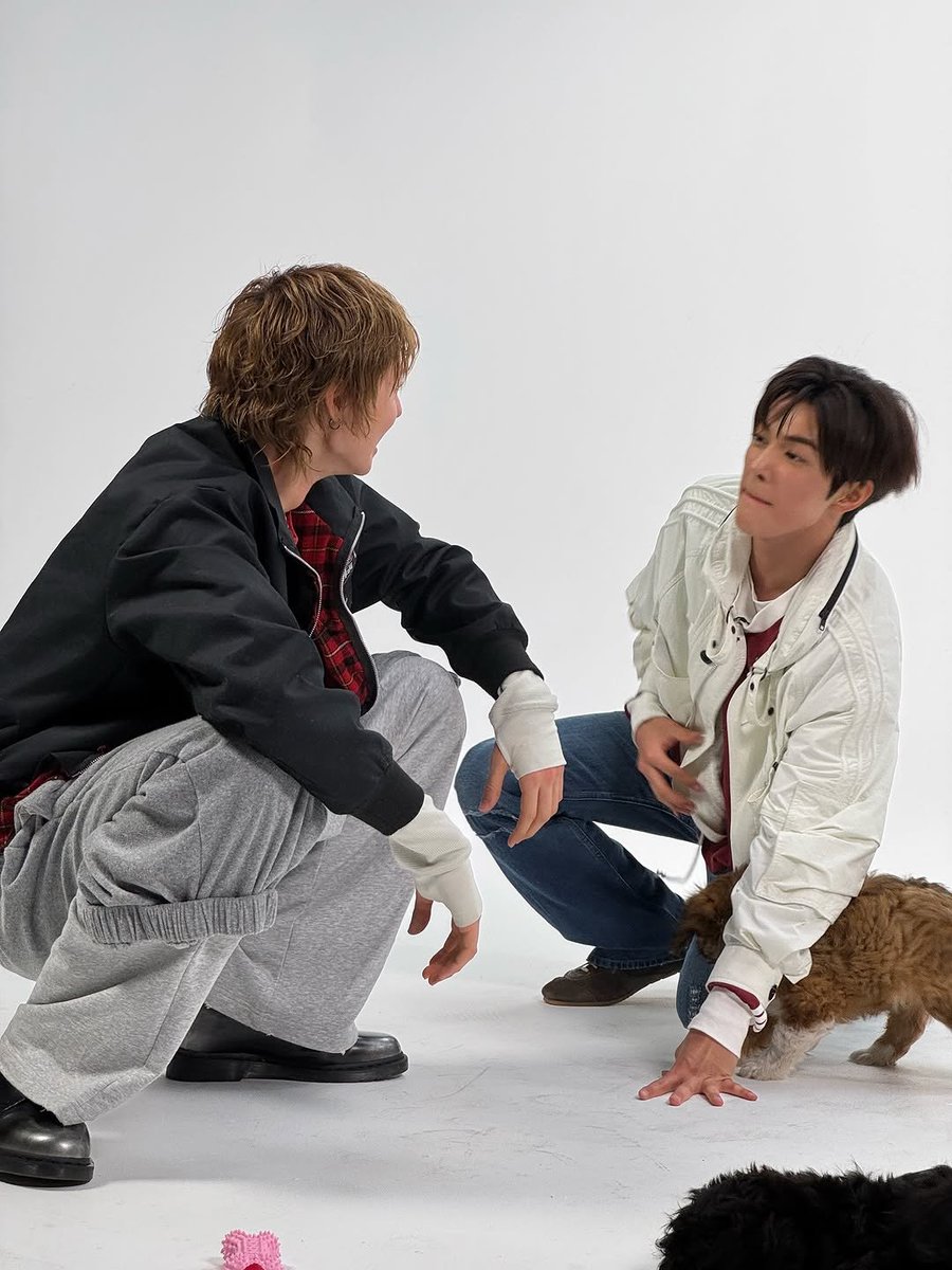 CORTISINDONESIA's tweet photo. [260629] INSTAGRAM

the puppy interview

#CORTIS #코르티스 #MARTIN #마틴 #KEONHO #건호 #GREENGREEN
🐼 https://t.co/ODf3hBTvQu