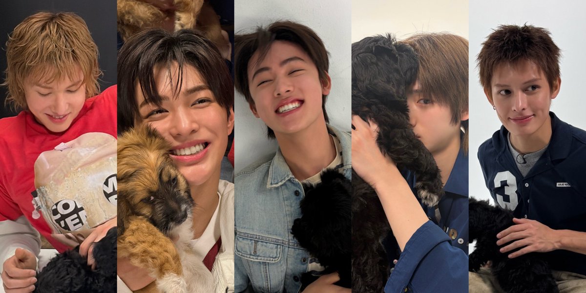 eomcoertis's tweet photo. Cortis with puppies 🥺🐶

#CORTIS #코르티스 https://t.co/Gc0OR4p0OP