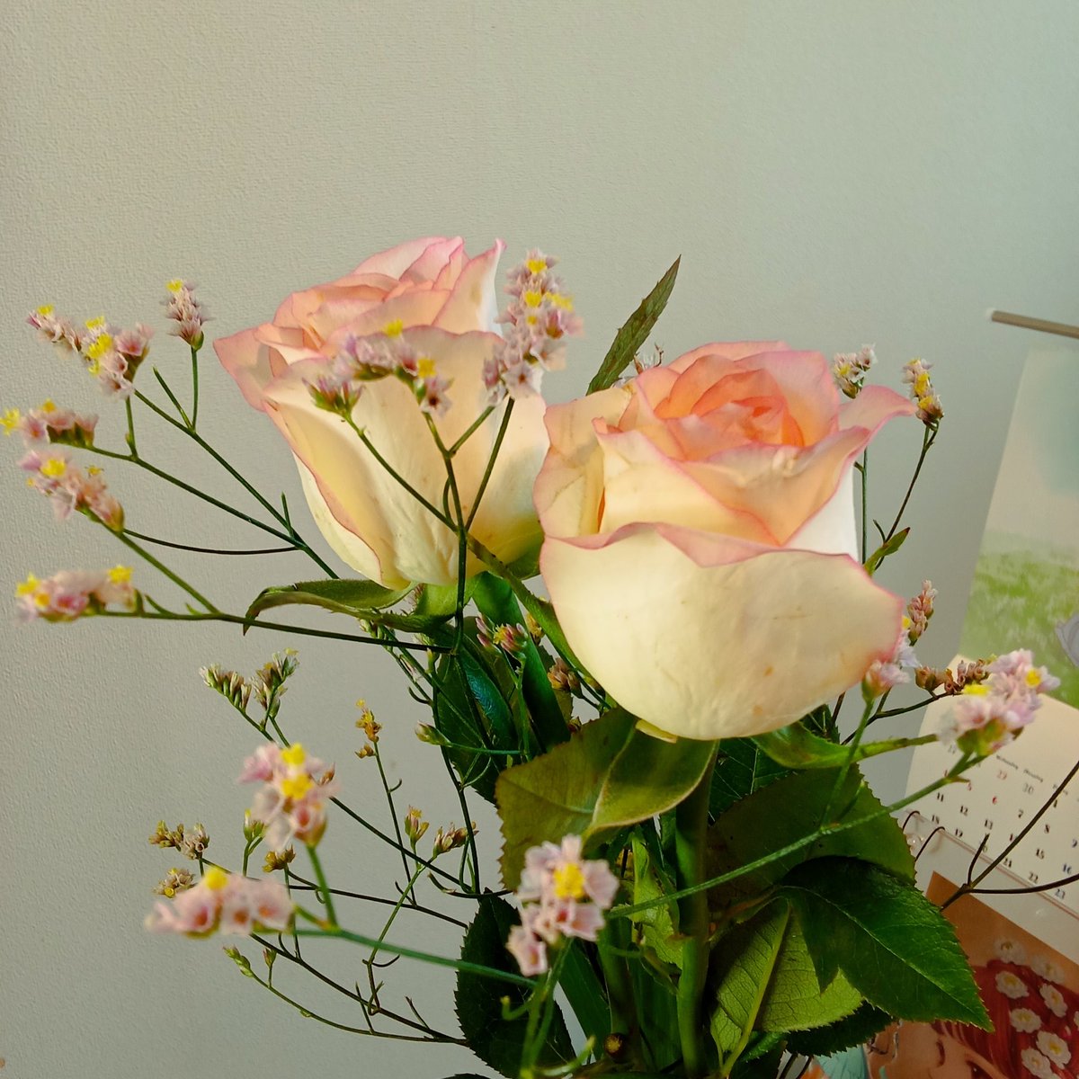 iyn_electronics's tweet photo. 母からもらったフォションの紅茶とパティスリーのムースでウトウトしています
眠くて何もできない https://t.co/idQGTEh2to