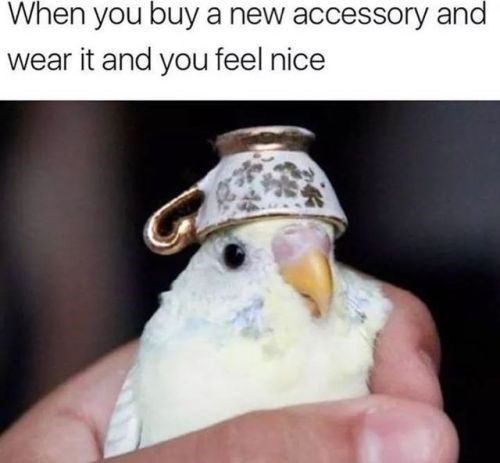 WholesomeMeme's tweet photo. https://t.co/FGeossE4We
