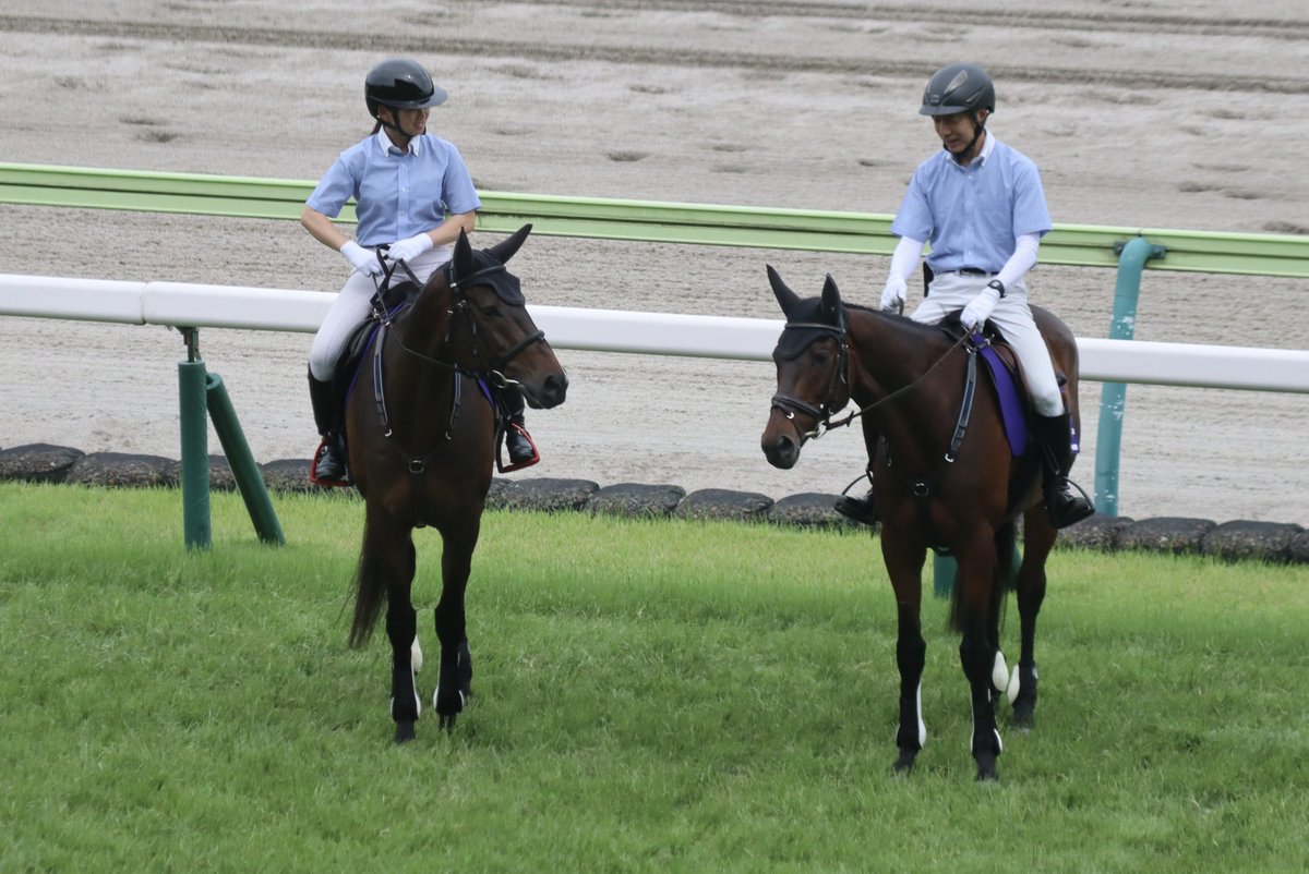 mow_rabbit's tweet photo. 福島競馬場の後半の誘導馬さんは、エリモジパング、サンライズアキレス、トーラスジェミニ、フラッフィーです。

誘導の後にはファンサしてくれます😊

 #福島競馬場
 #誘導馬 https://t.co/dx8hIaDIqo