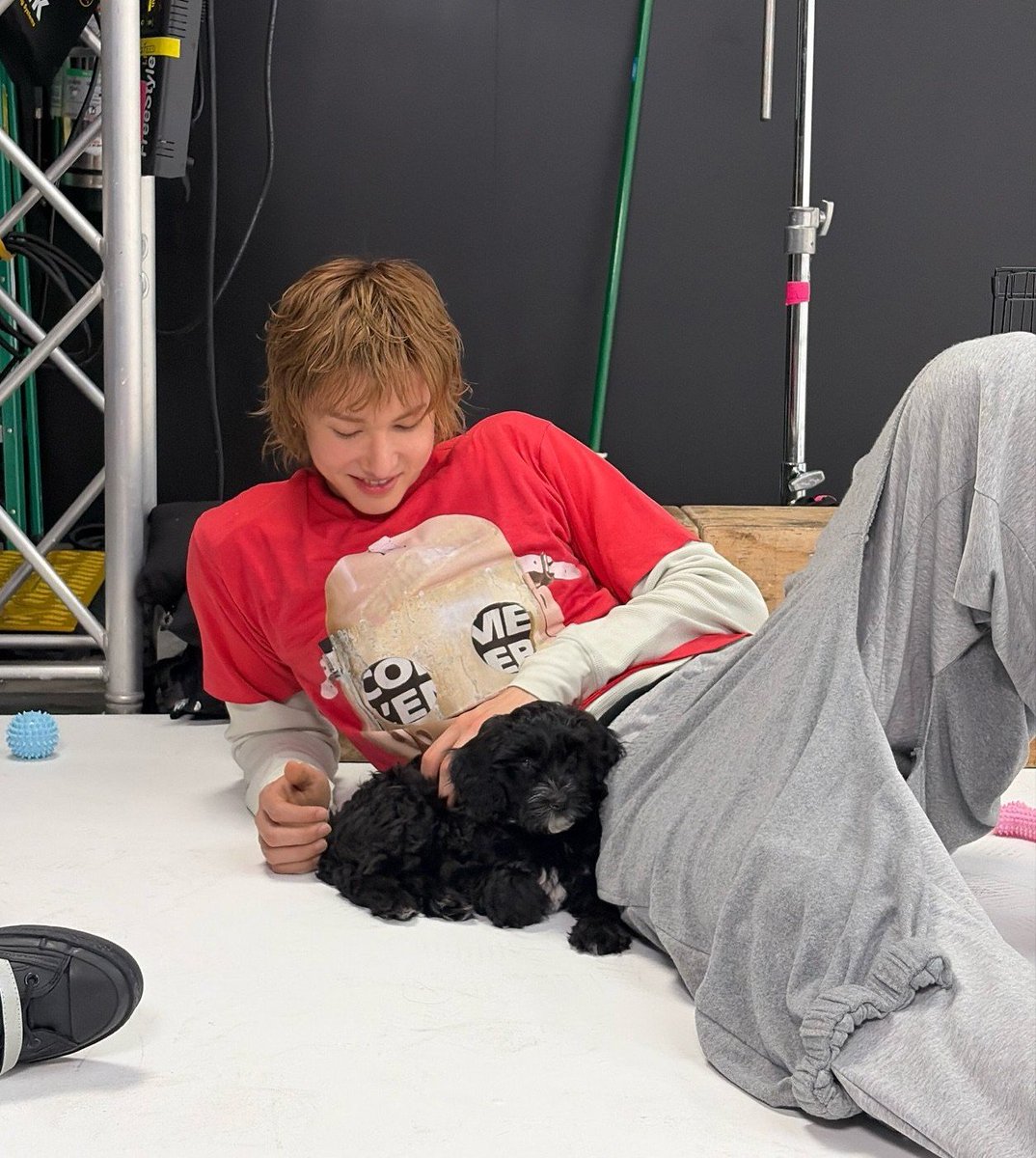 harumanyogi183's tweet photo. which one is the puppy i'm confused https://t.co/4REymDpmOT
