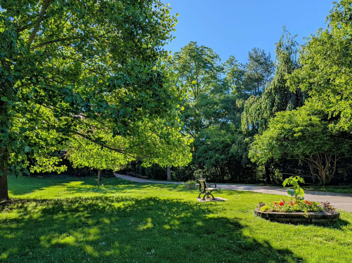 hspc321's tweet photo. The paradise I felt
#写真
#photography
#nature
#googlepixel9 https://t.co/3ML4HXZJn1